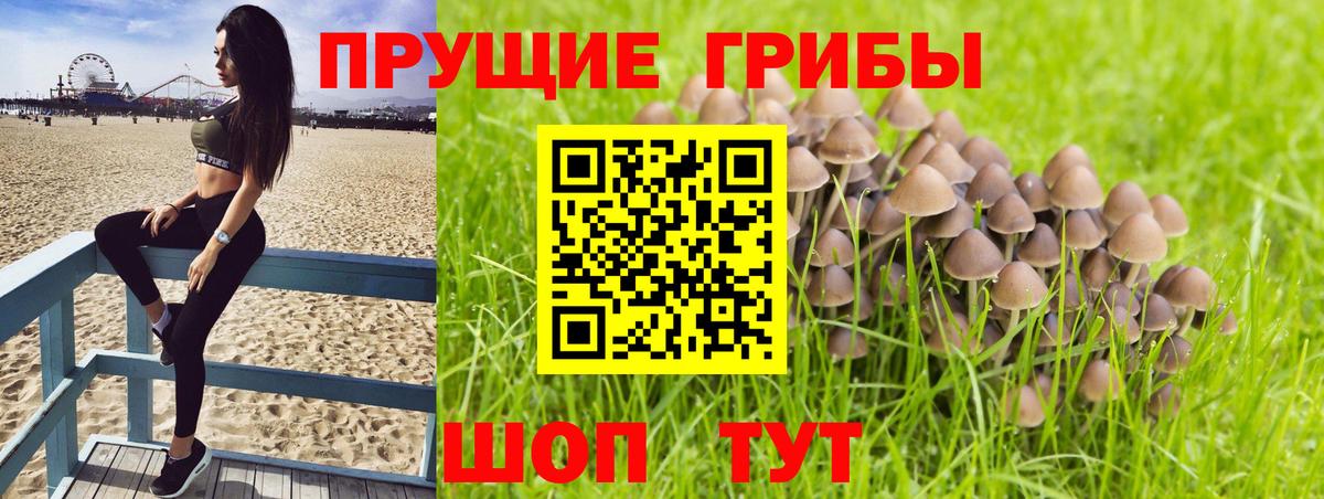 Псилоцибиновые грибы прущие грибы Алатырь